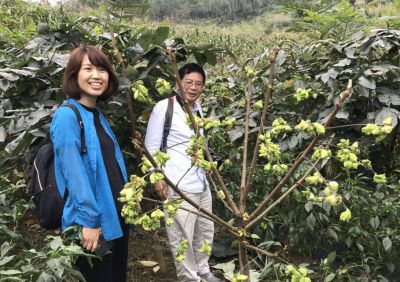 浙江大學張傳犀教授（右）、北京林業大學許鳳指導基地建設